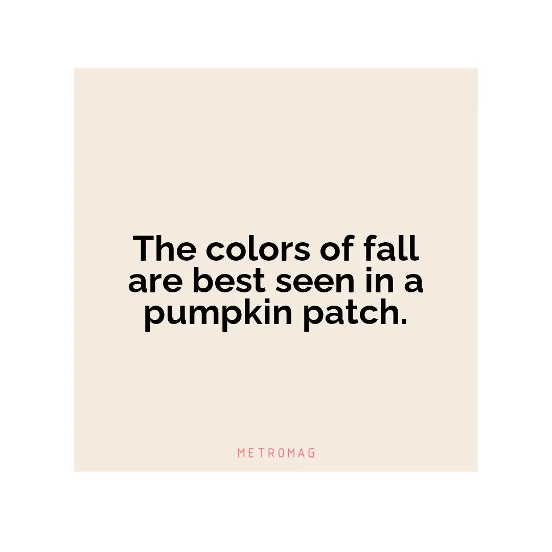 The colors of fall are best seen in a pumpkin patch.