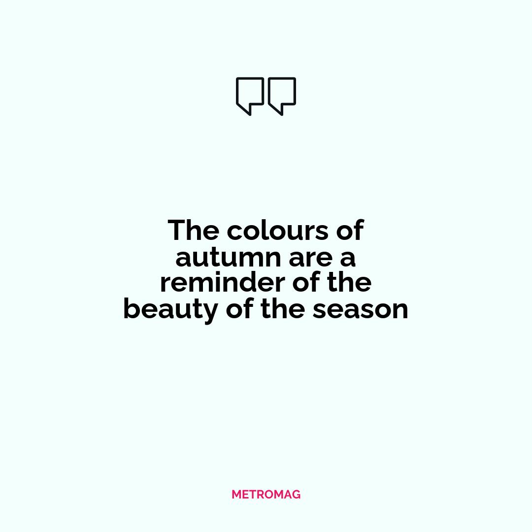 The colours of autumn are a reminder of the beauty of the season