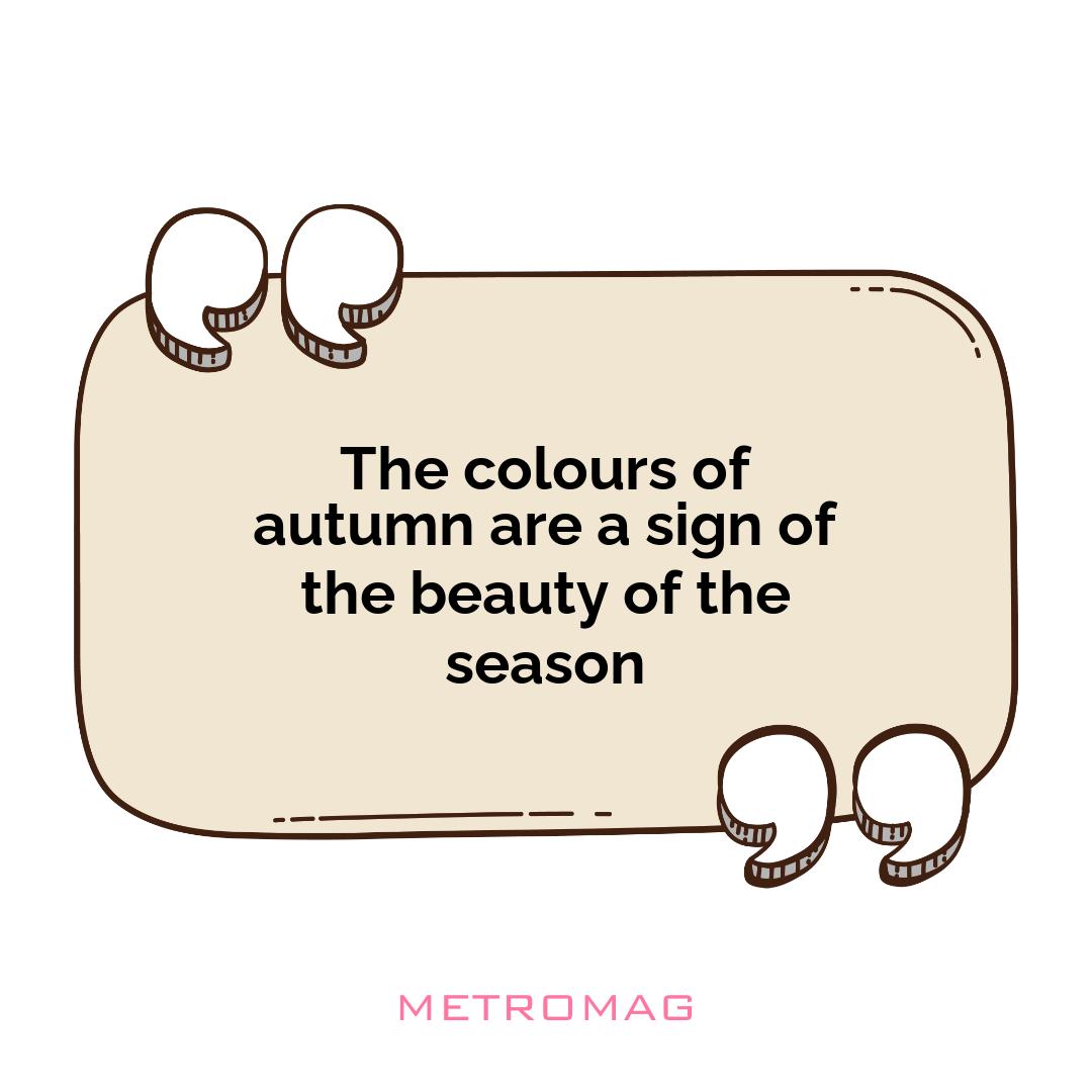 The colours of autumn are a sign of the beauty of the season