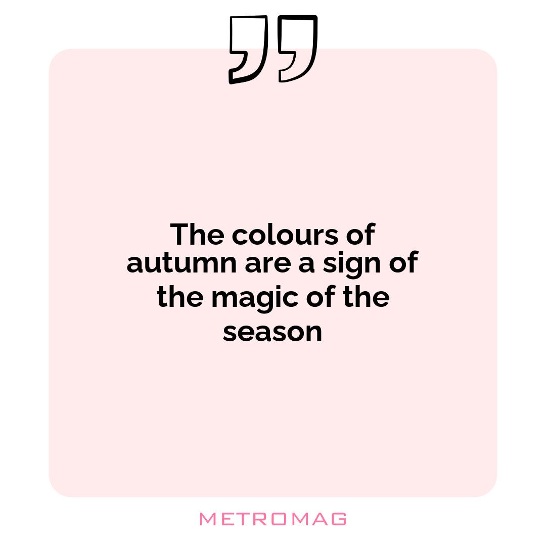 The colours of autumn are a sign of the magic of the season