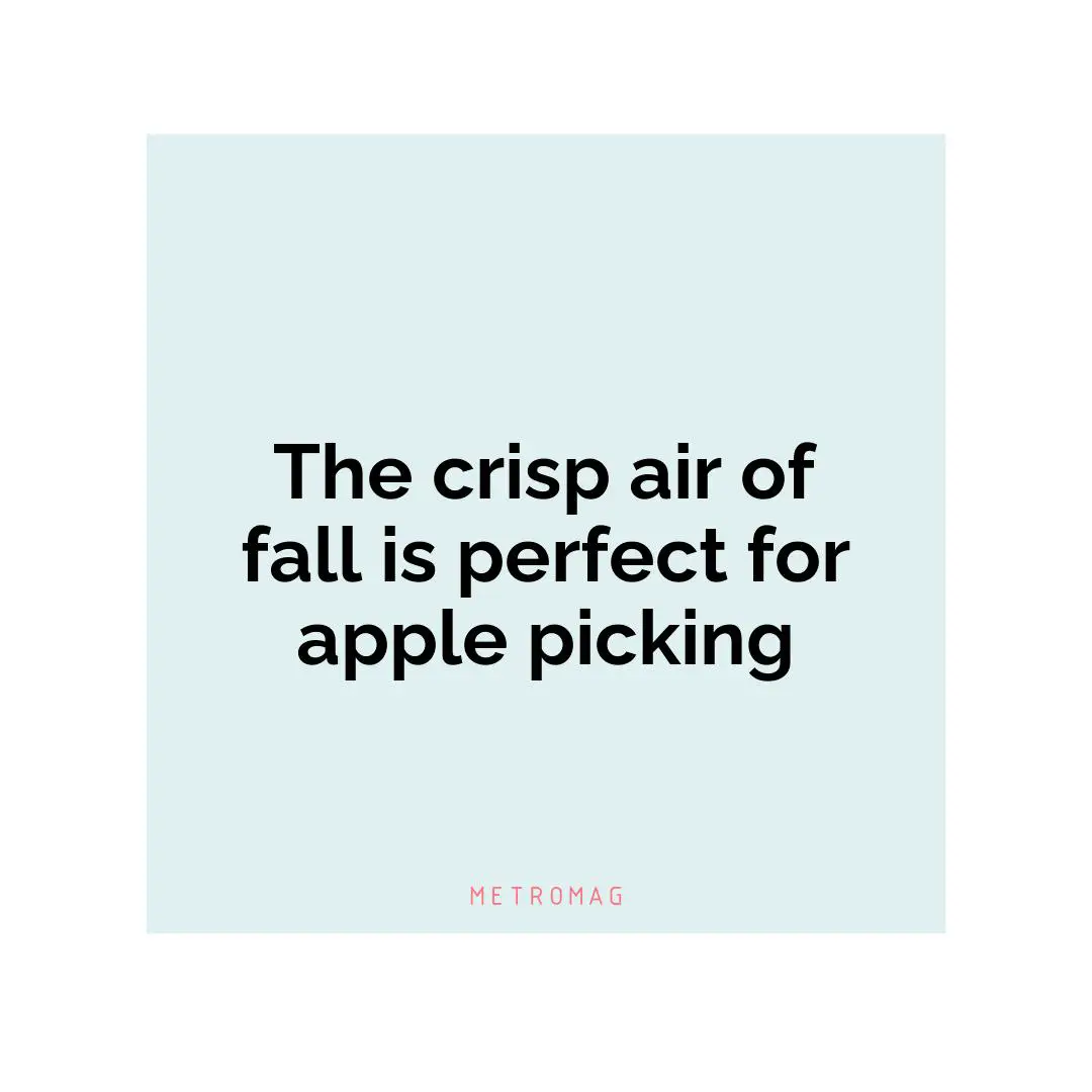 The crisp air of fall is perfect for apple picking
