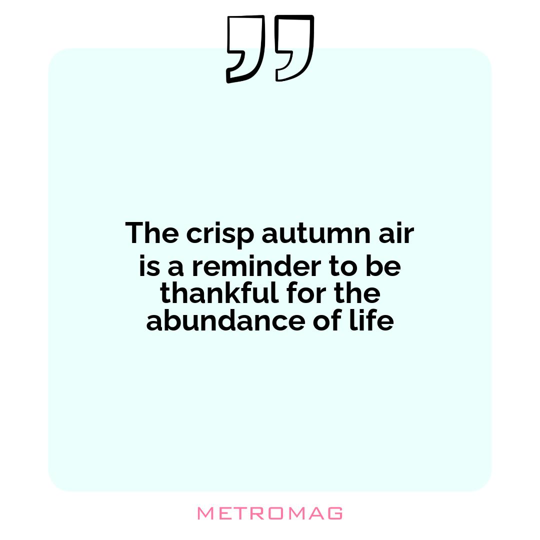 The crisp autumn air is a reminder to be thankful for the abundance of life