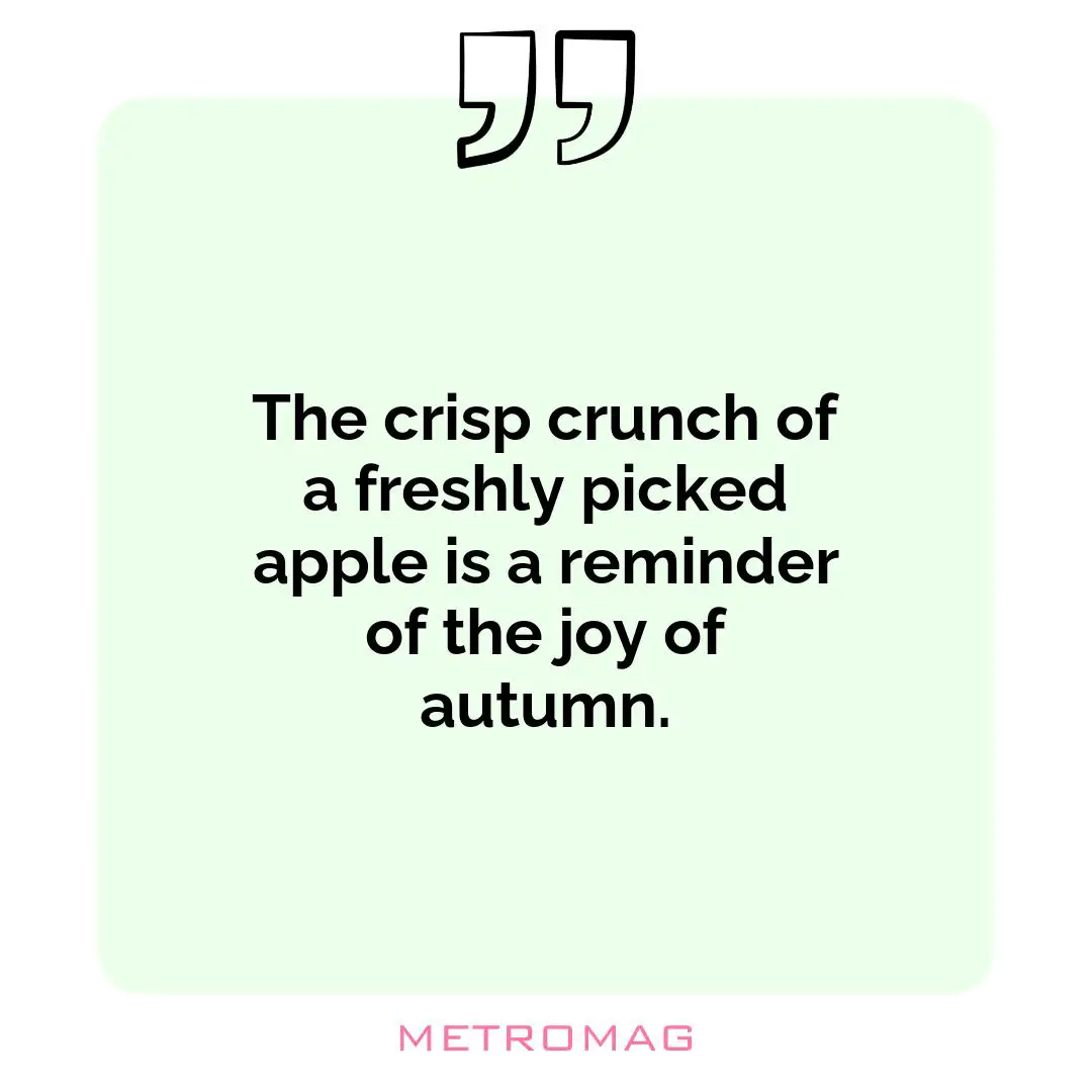 The crisp crunch of a freshly picked apple is a reminder of the joy of autumn.