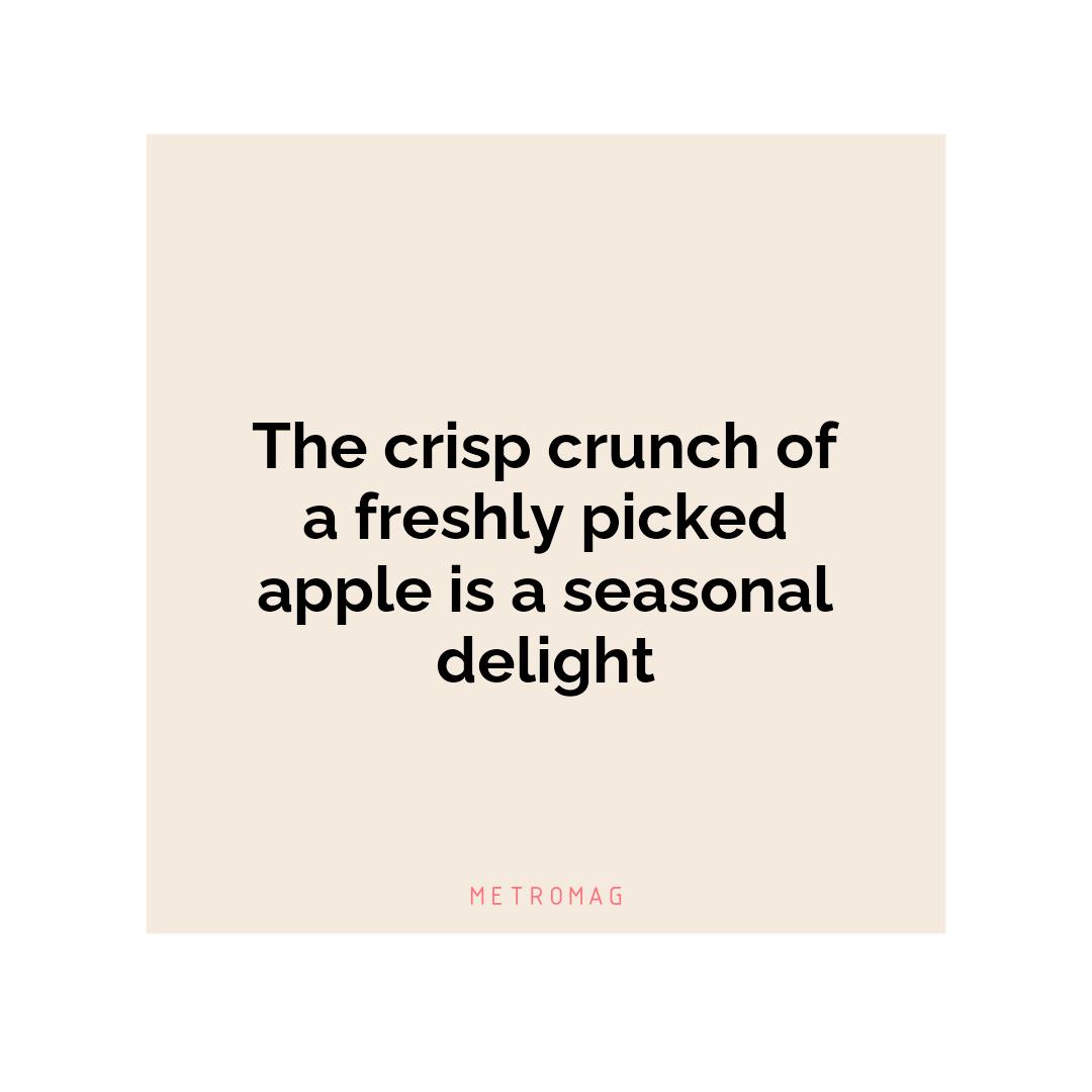 The crisp crunch of a freshly picked apple is a seasonal delight
