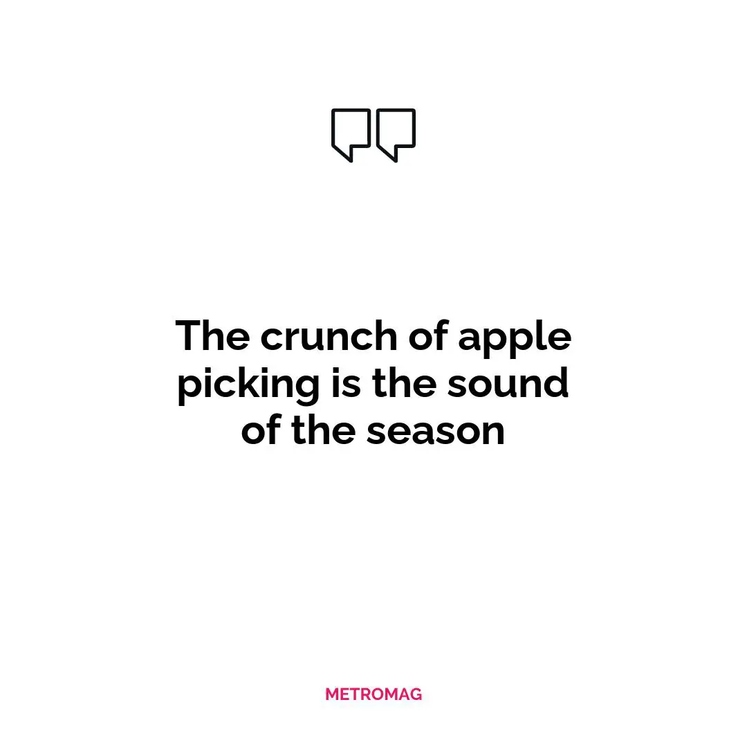 The crunch of apple picking is the sound of the season