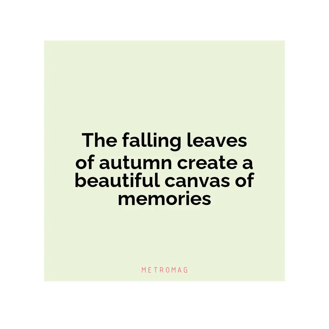 The falling leaves of autumn create a beautiful canvas of memories