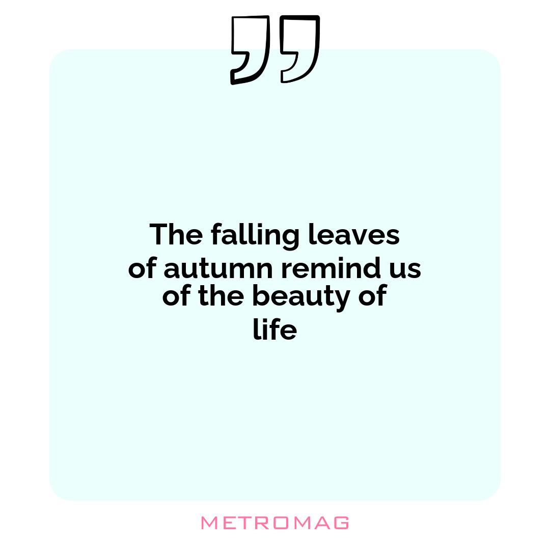 The falling leaves of autumn remind us of the beauty of life