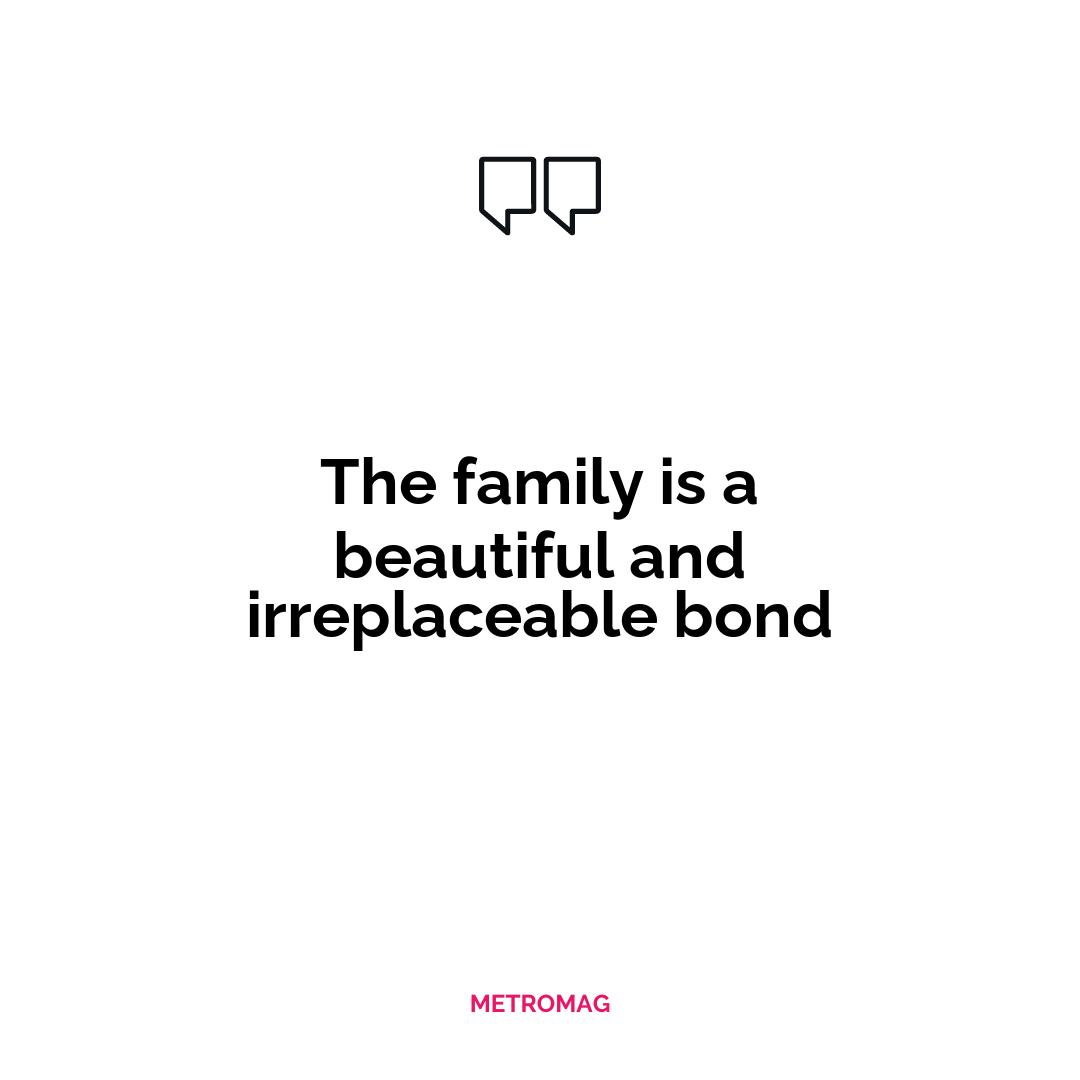 The family is a beautiful and irreplaceable bond