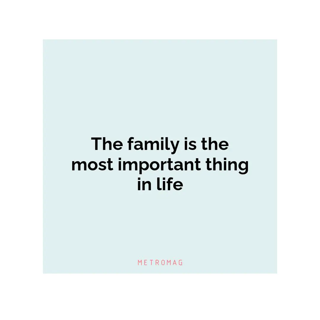 The family is the most important thing in life