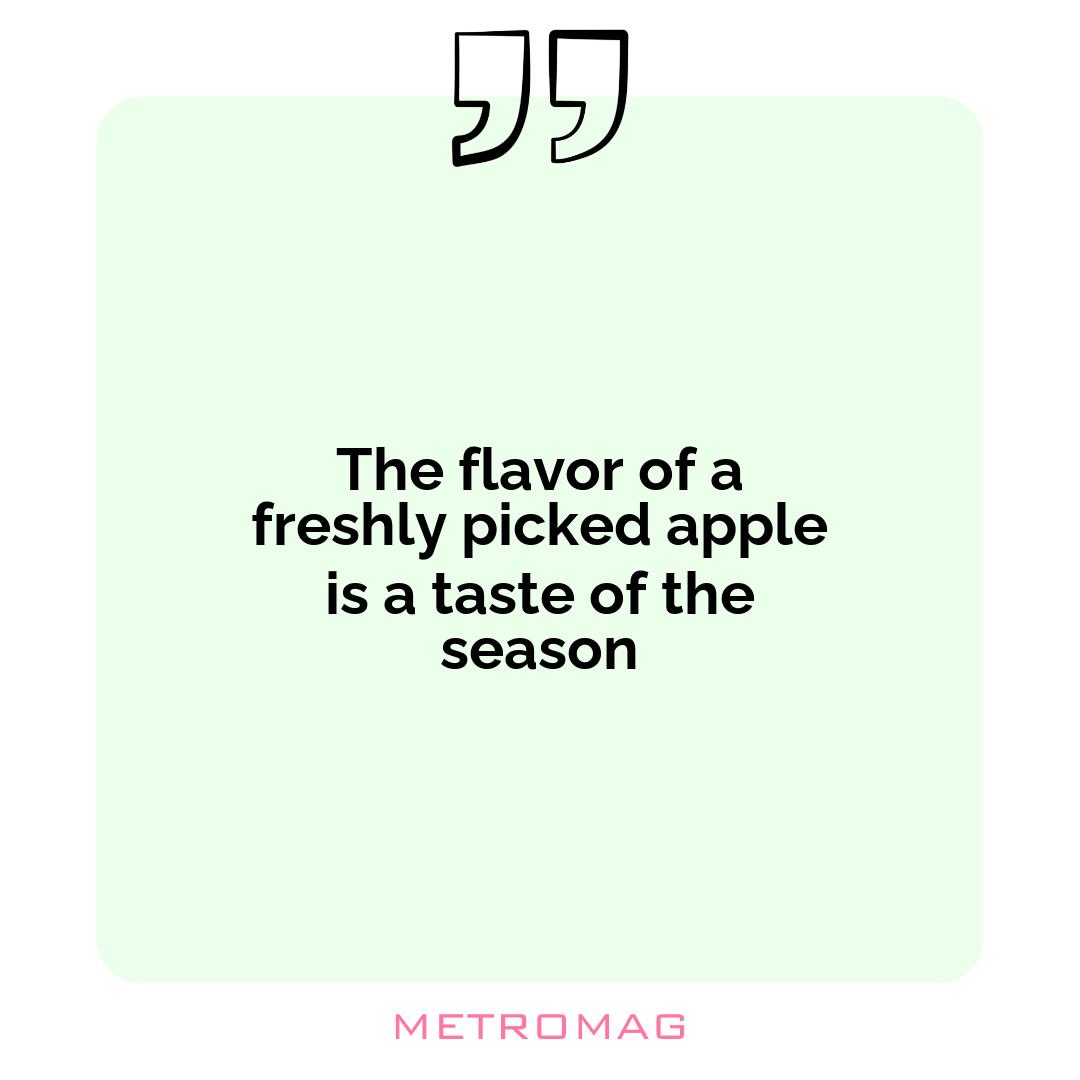 The flavor of a freshly picked apple is a taste of the season