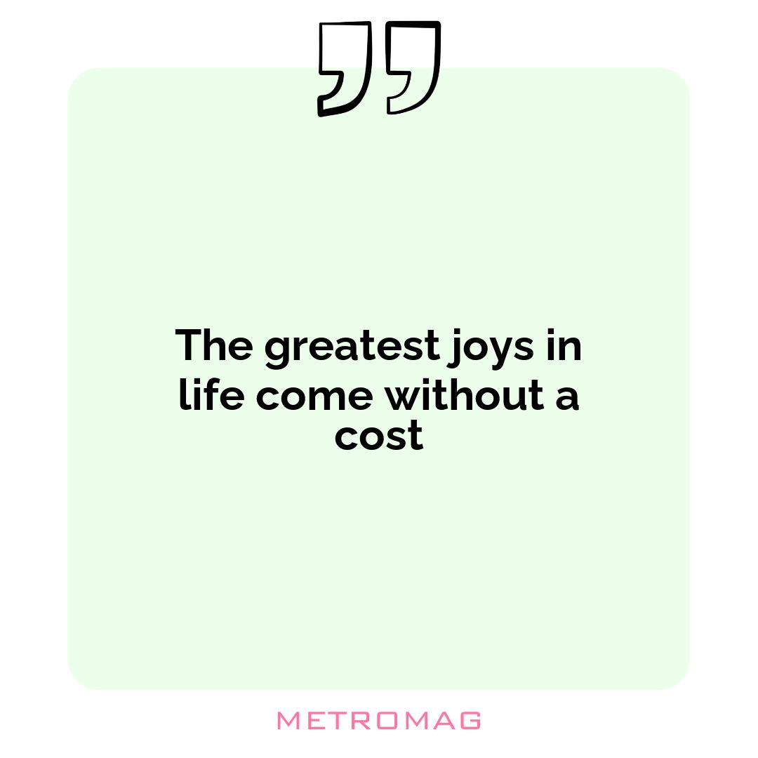 The greatest joys in life come without a cost