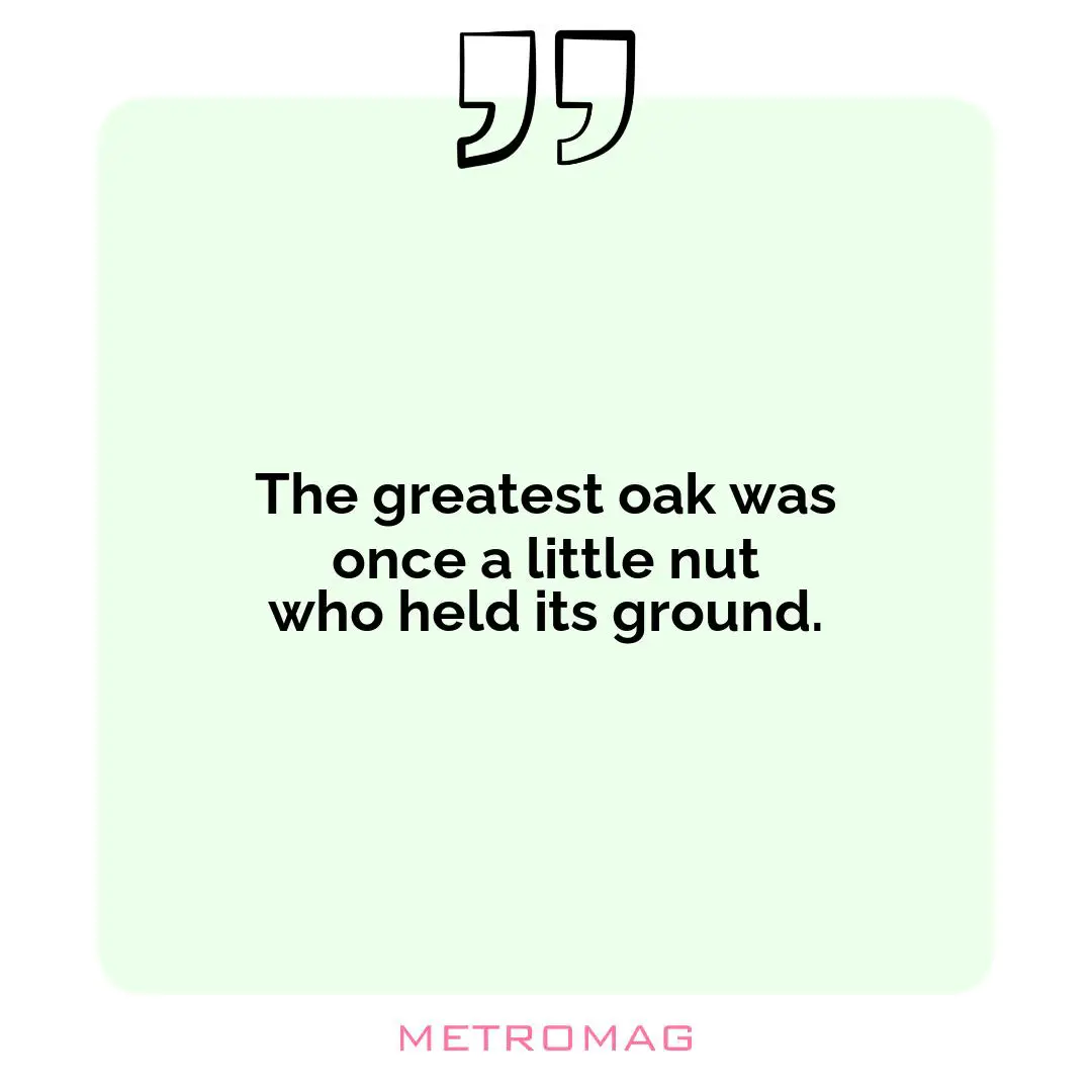 The greatest oak was once a little nut who held its ground.