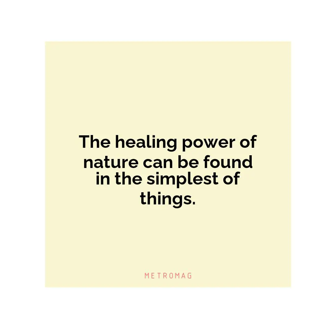 The healing power of nature can be found in the simplest of things.