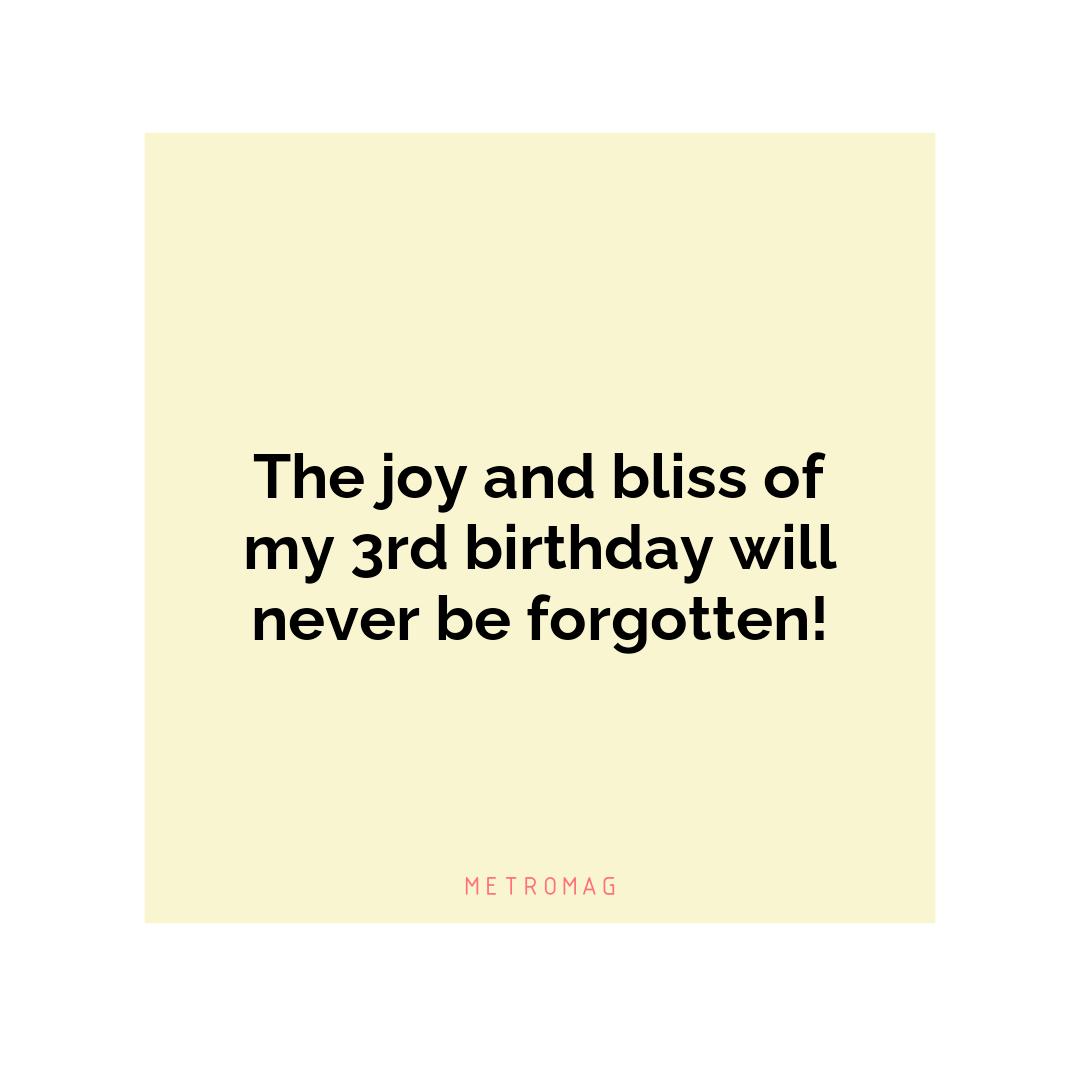 The joy and bliss of my 3rd birthday will never be forgotten!