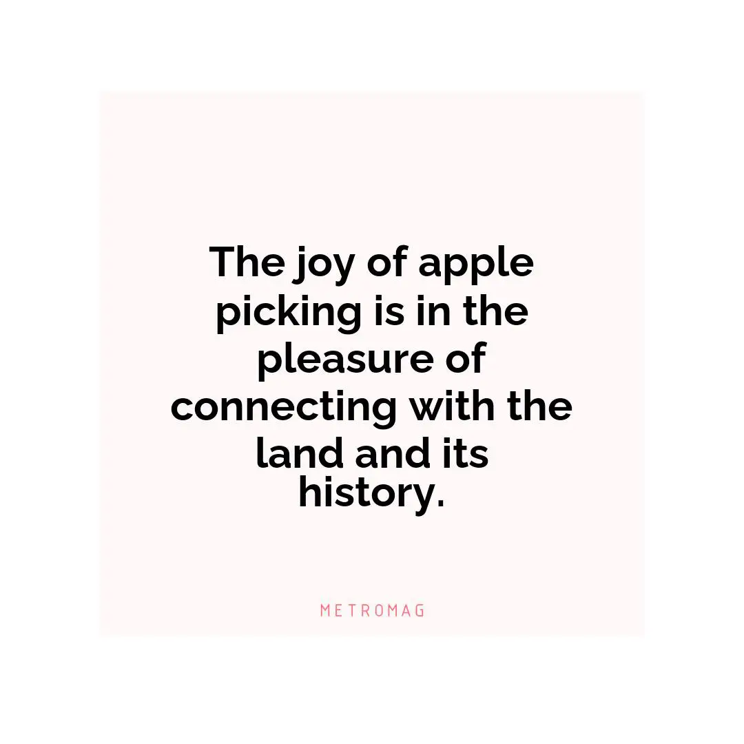 The joy of apple picking is in the pleasure of connecting with the land and its history.