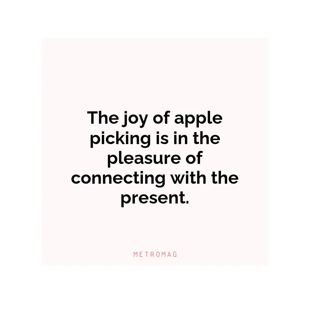 The joy of apple picking is in the pleasure of connecting with the present.