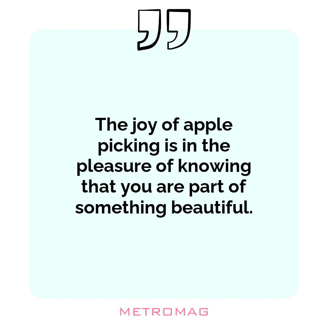 The joy of apple picking is in the pleasure of knowing that you are part of something beautiful.