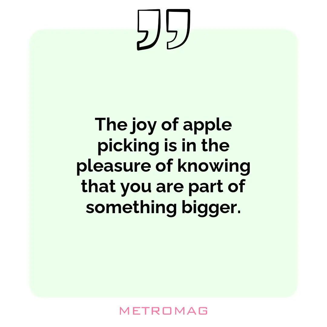 The joy of apple picking is in the pleasure of knowing that you are part of something bigger.