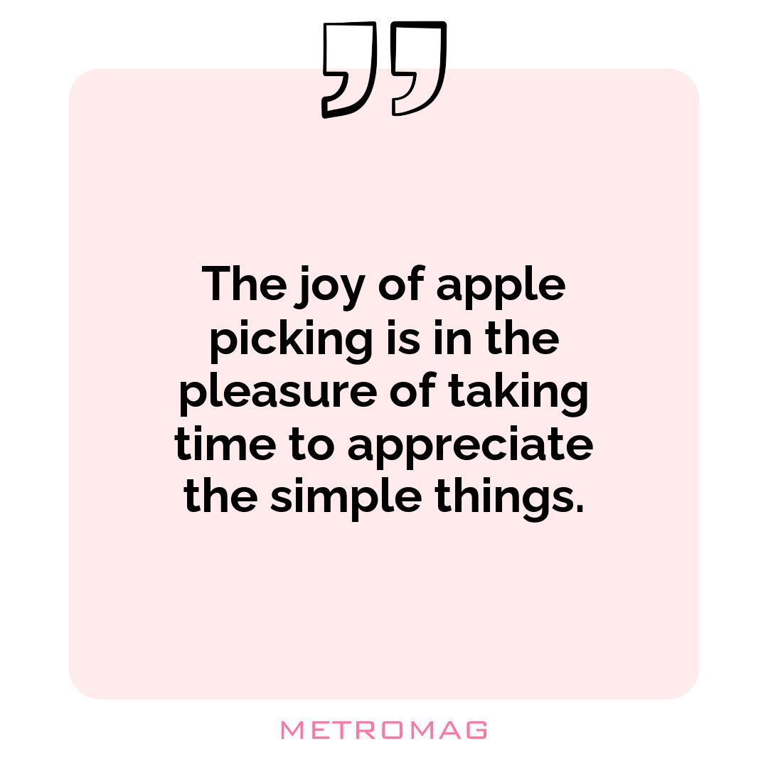 The joy of apple picking is in the pleasure of taking time to appreciate the simple things.