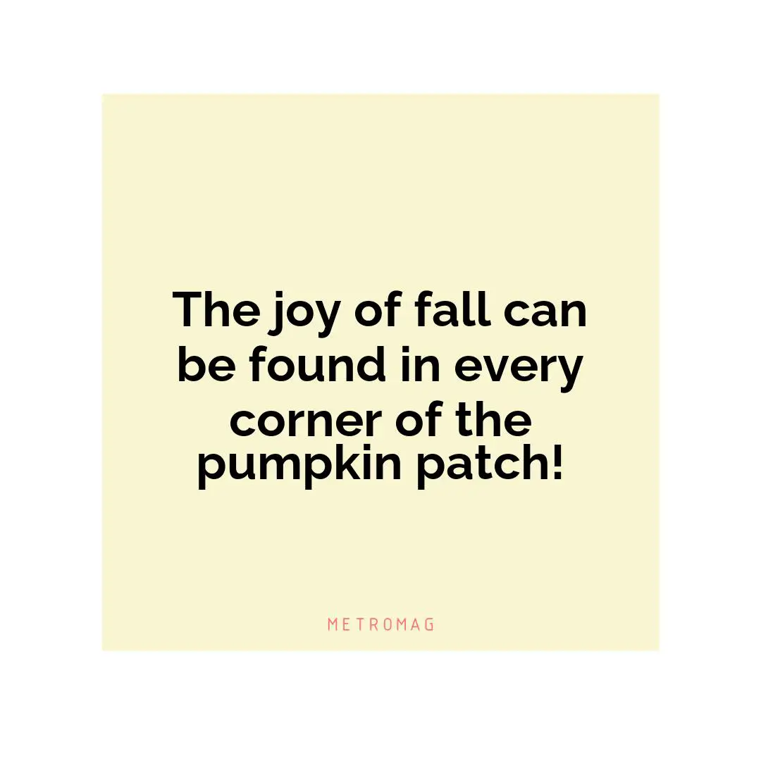 The joy of fall can be found in every corner of the pumpkin patch!
