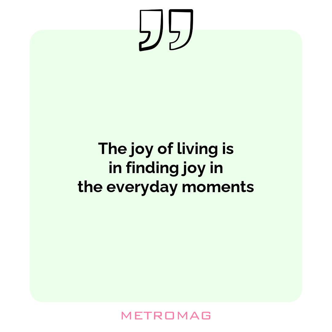 The joy of living is in finding joy in the everyday moments