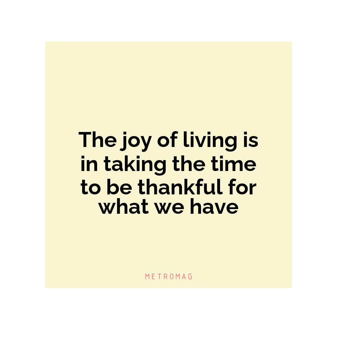 The joy of living is in taking the time to be thankful for what we have