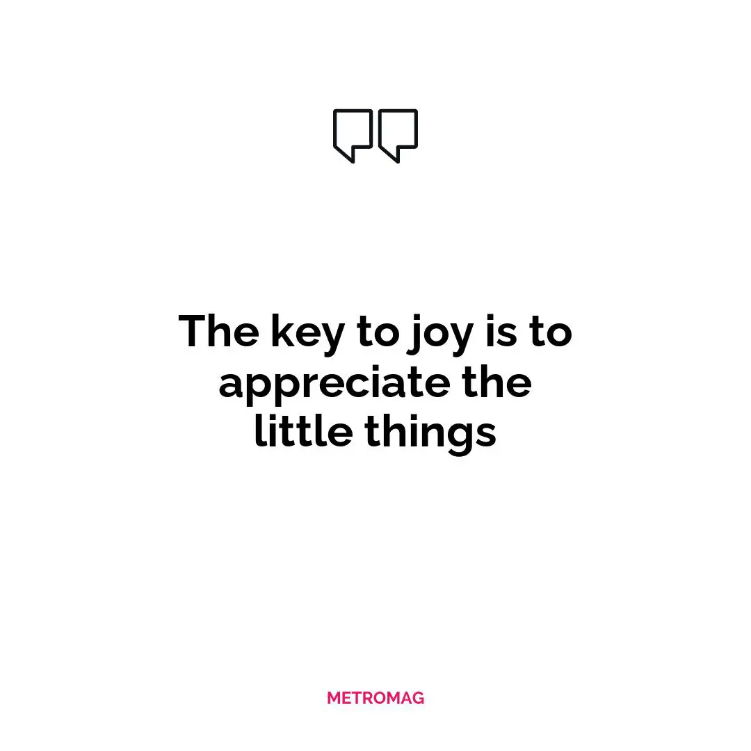 The key to joy is to appreciate the little things