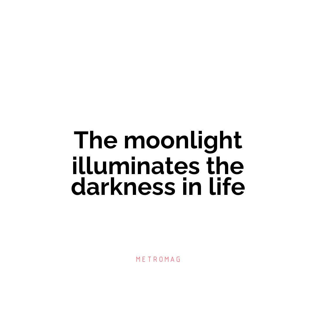 The moonlight illuminates the darkness in life