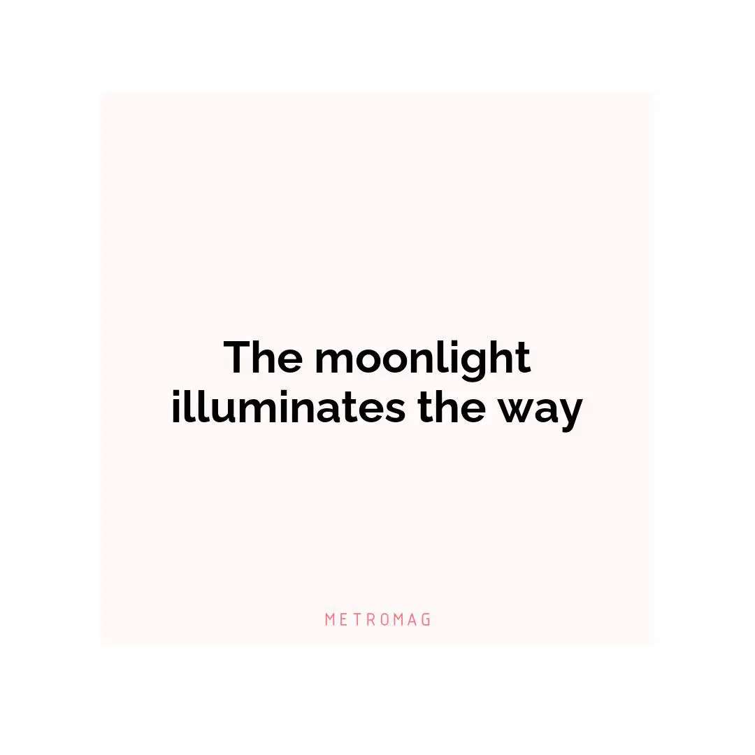 The moonlight illuminates the way
