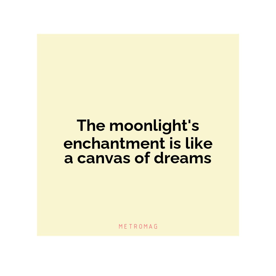 The moonlight's enchantment is like a canvas of dreams