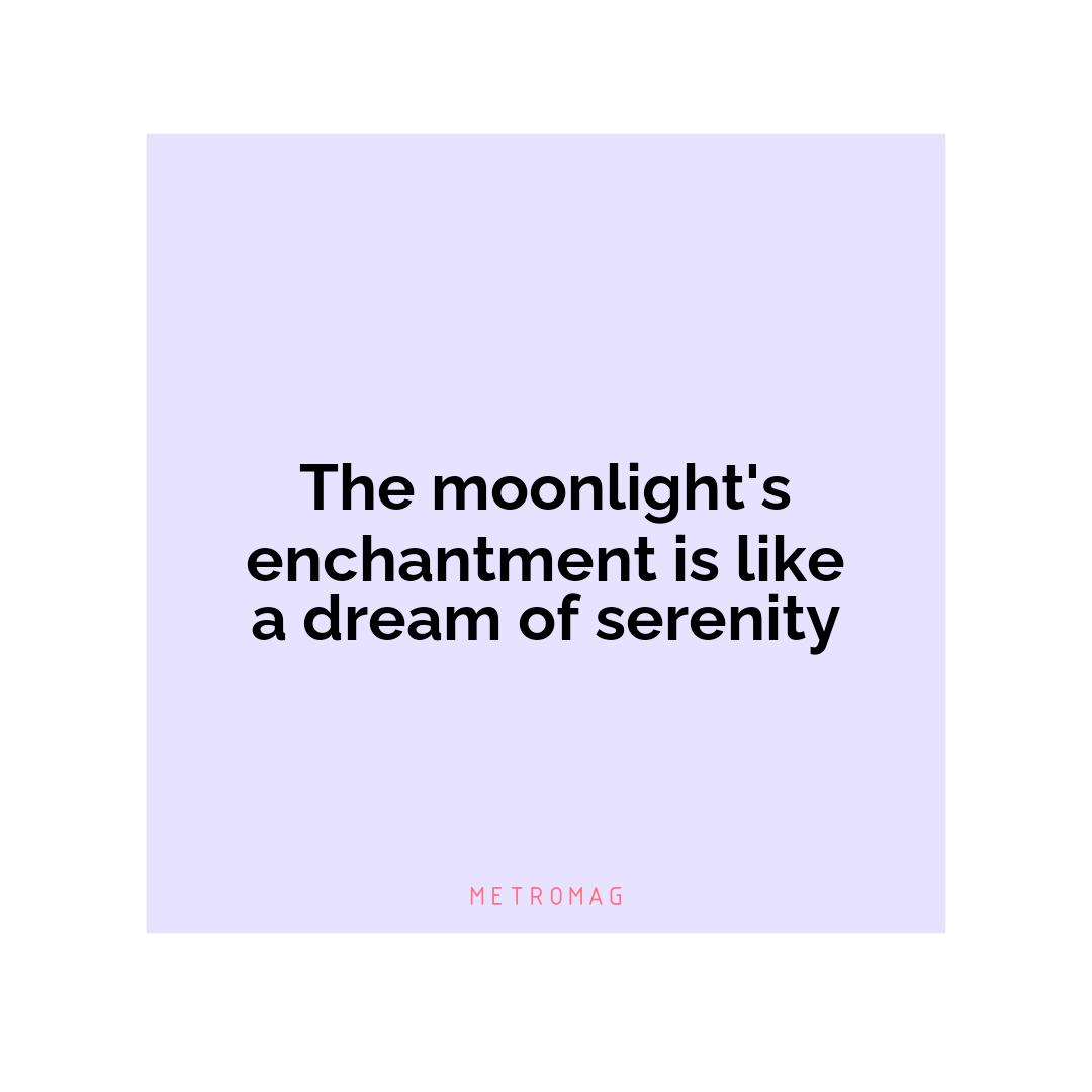 The moonlight's enchantment is like a dream of serenity