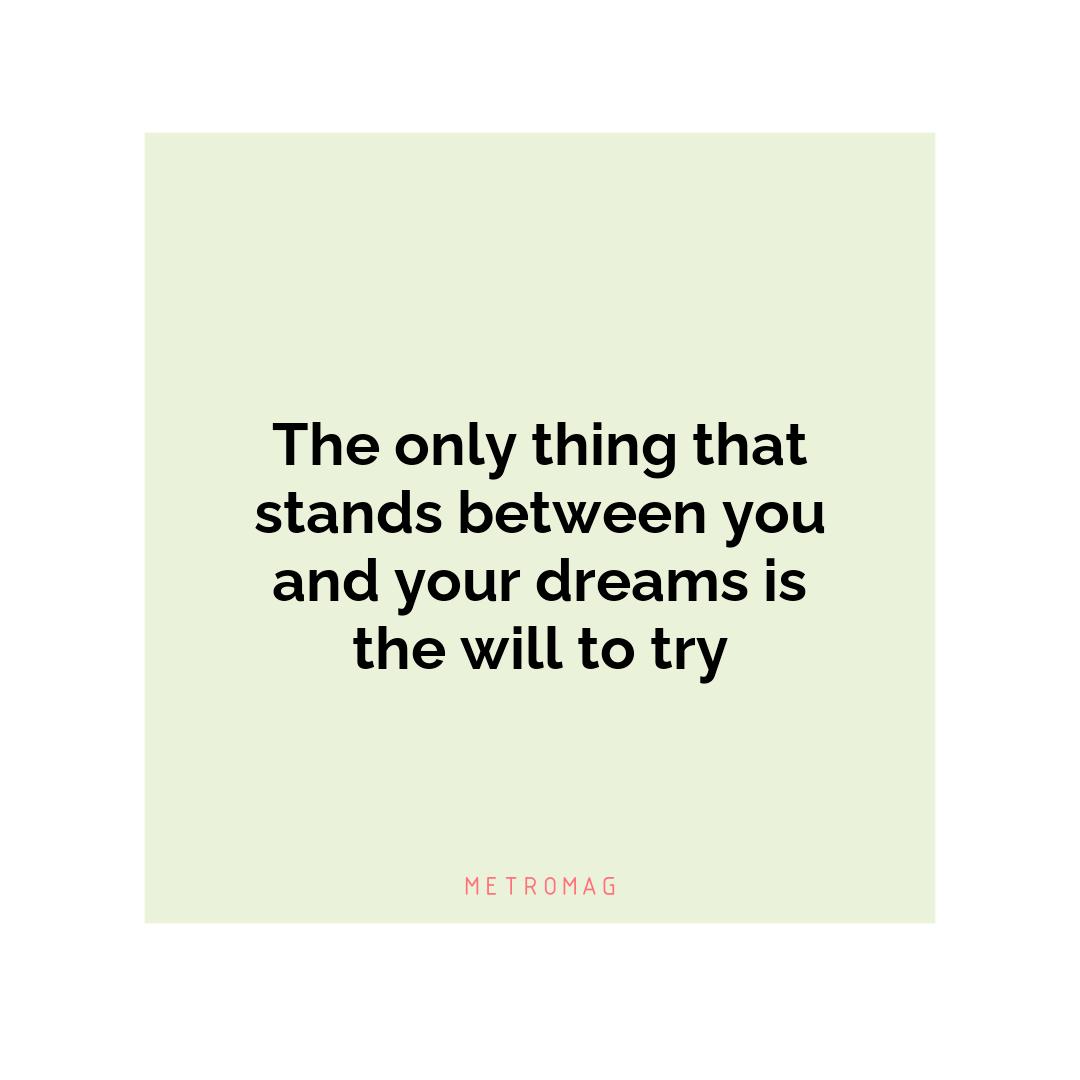 The only thing that stands between you and your dreams is the will to try