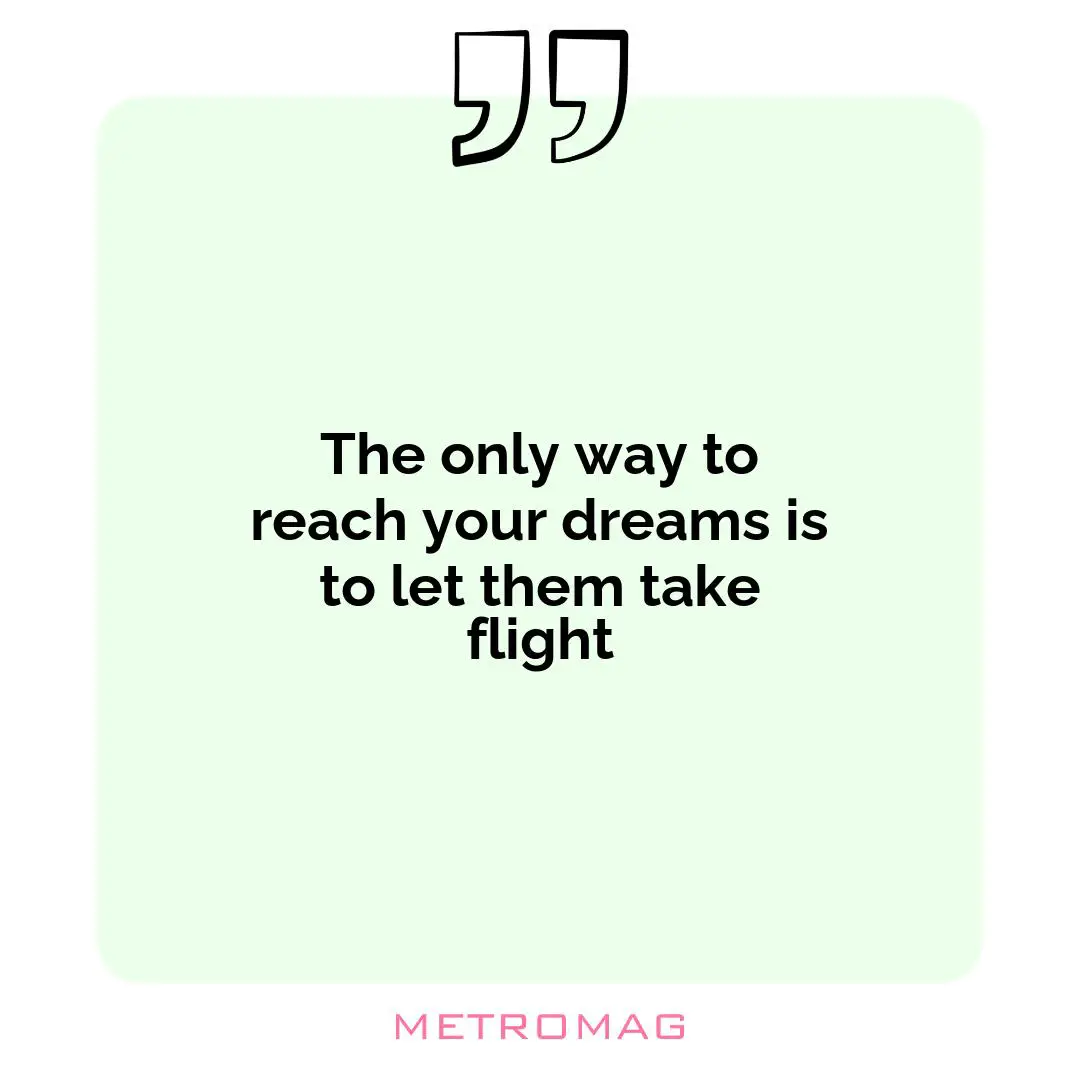 The only way to reach your dreams is to let them take flight