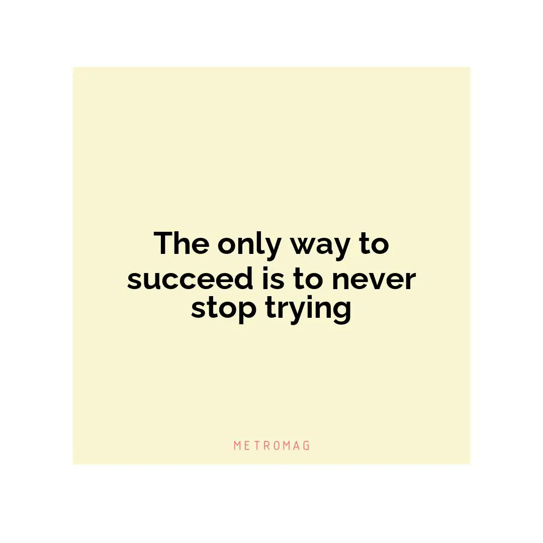 The only way to succeed is to never stop trying