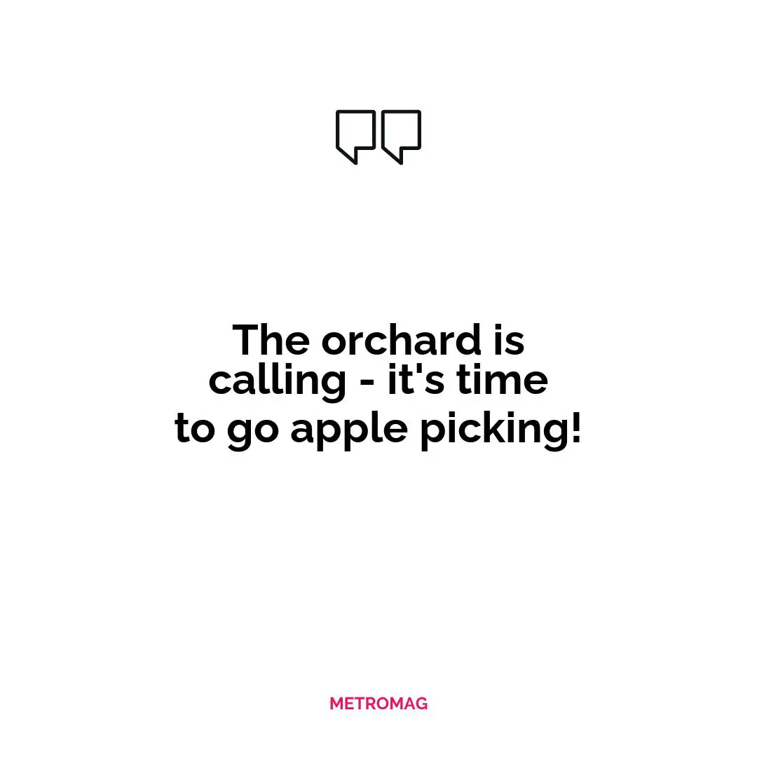 The orchard is calling - it's time to go apple picking!