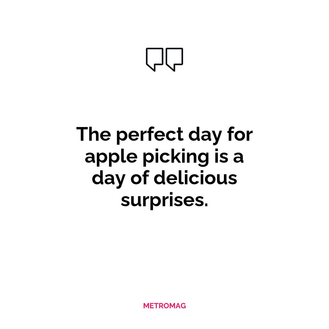 The perfect day for apple picking is a day of delicious surprises.