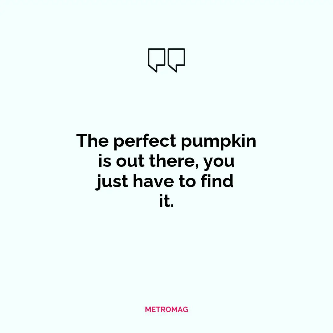 The perfect pumpkin is out there, you just have to find it.