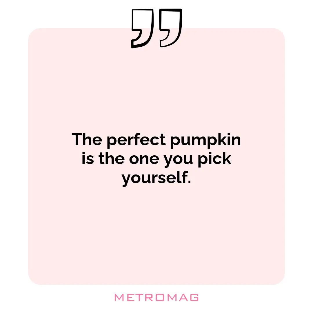 The perfect pumpkin is the one you pick yourself.