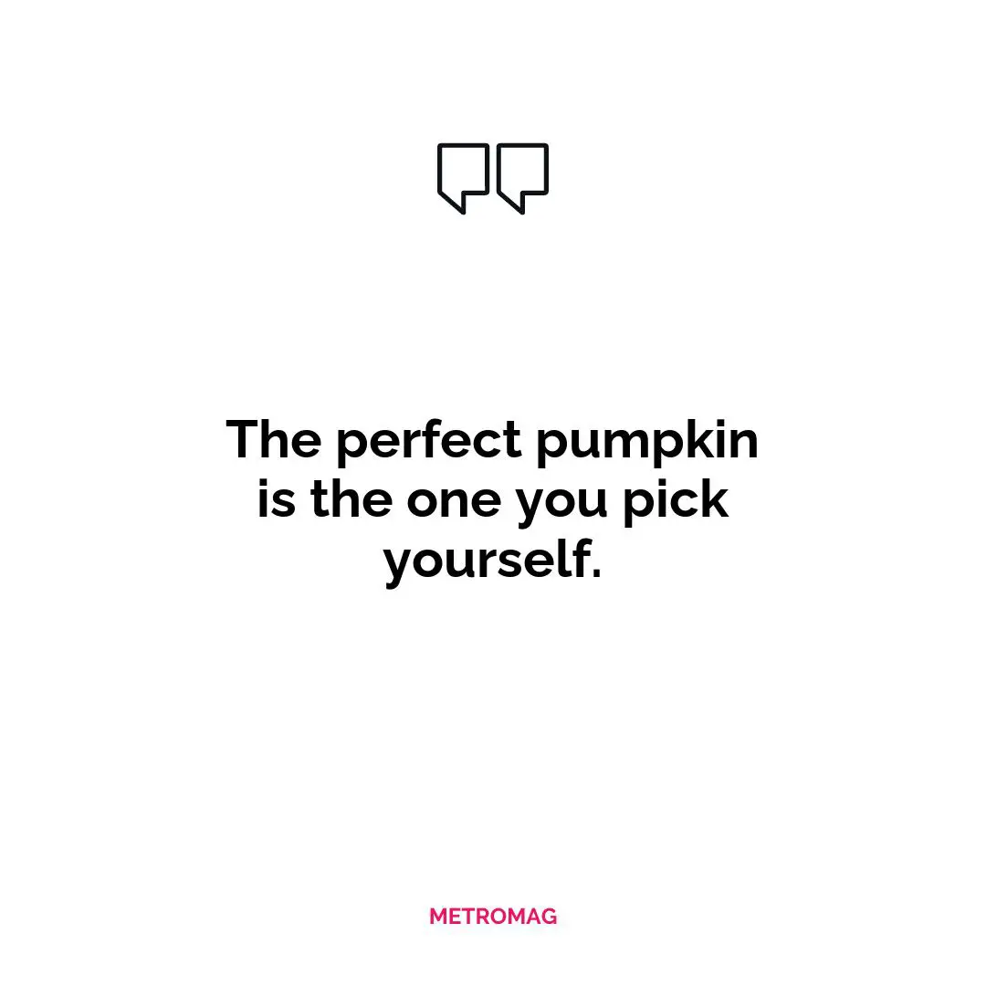 The perfect pumpkin is the one you pick yourself.