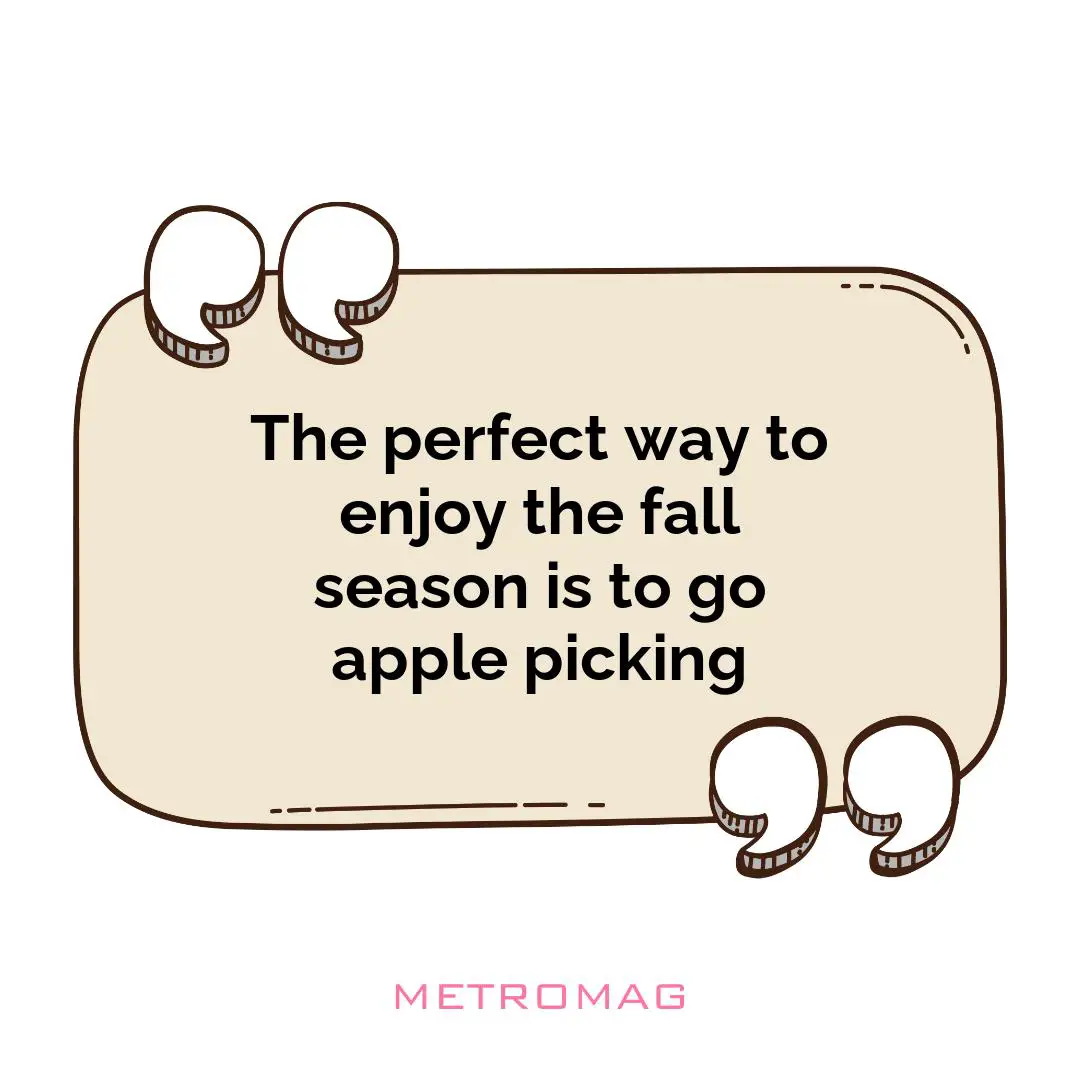The perfect way to enjoy the fall season is to go apple picking