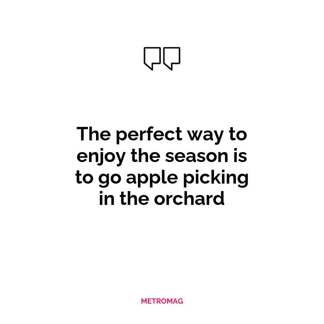 The perfect way to enjoy the season is to go apple picking in the orchard