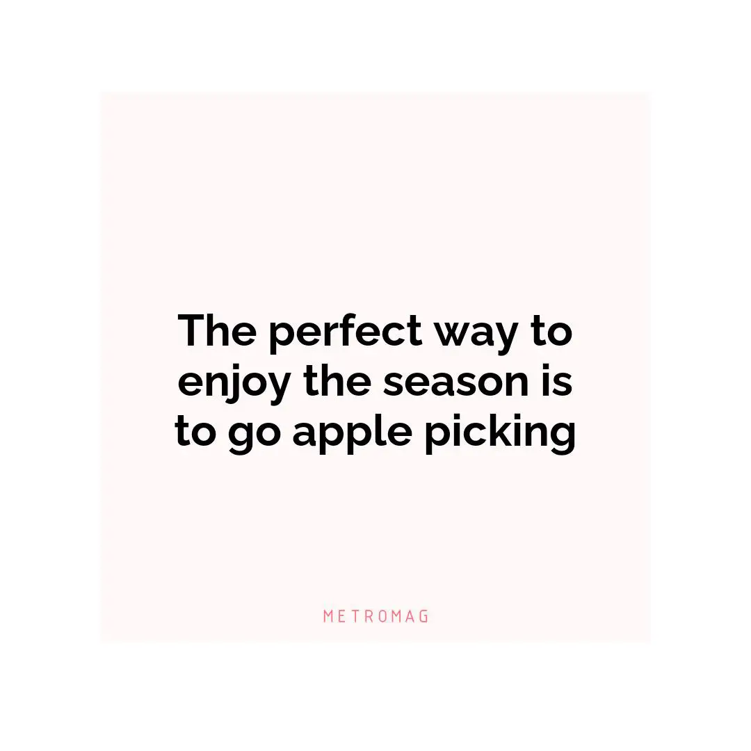 The perfect way to enjoy the season is to go apple picking