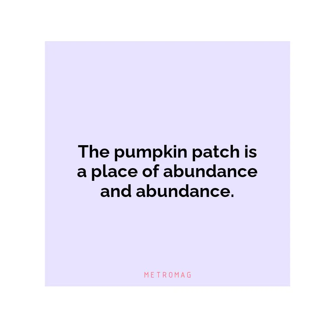 The pumpkin patch is a place of abundance and abundance.