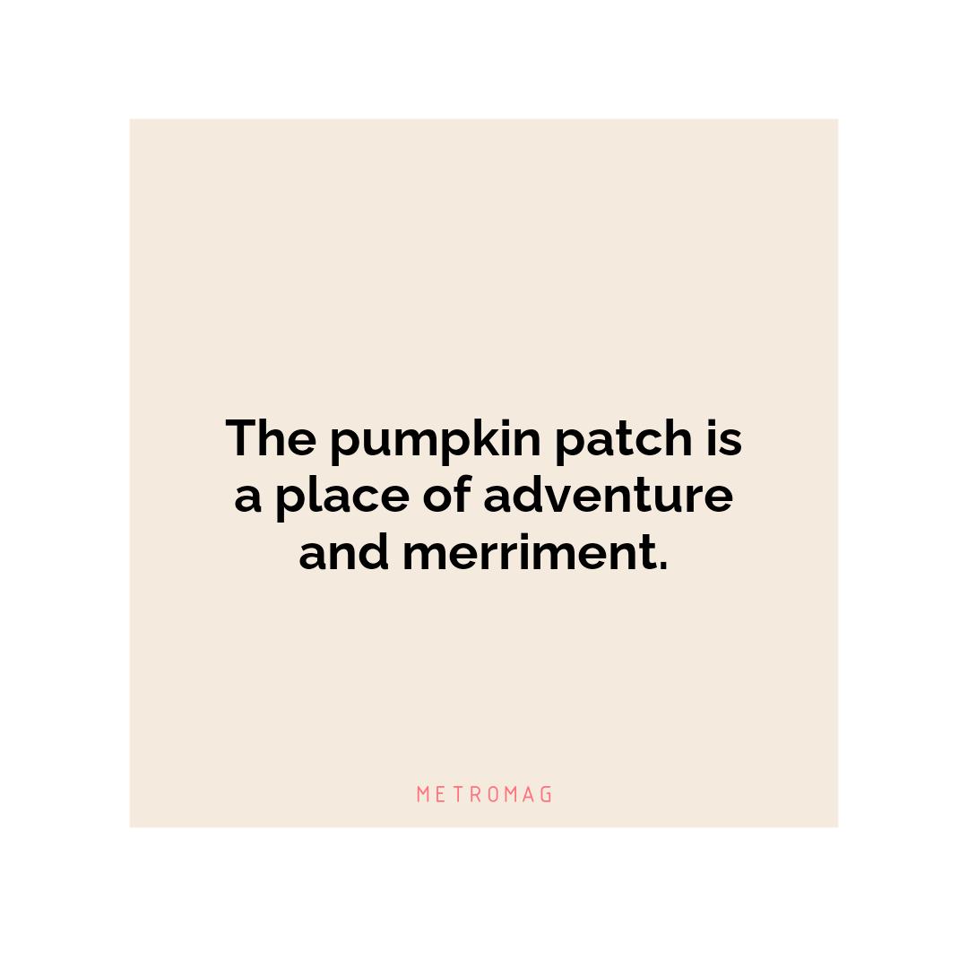 The pumpkin patch is a place of adventure and merriment.