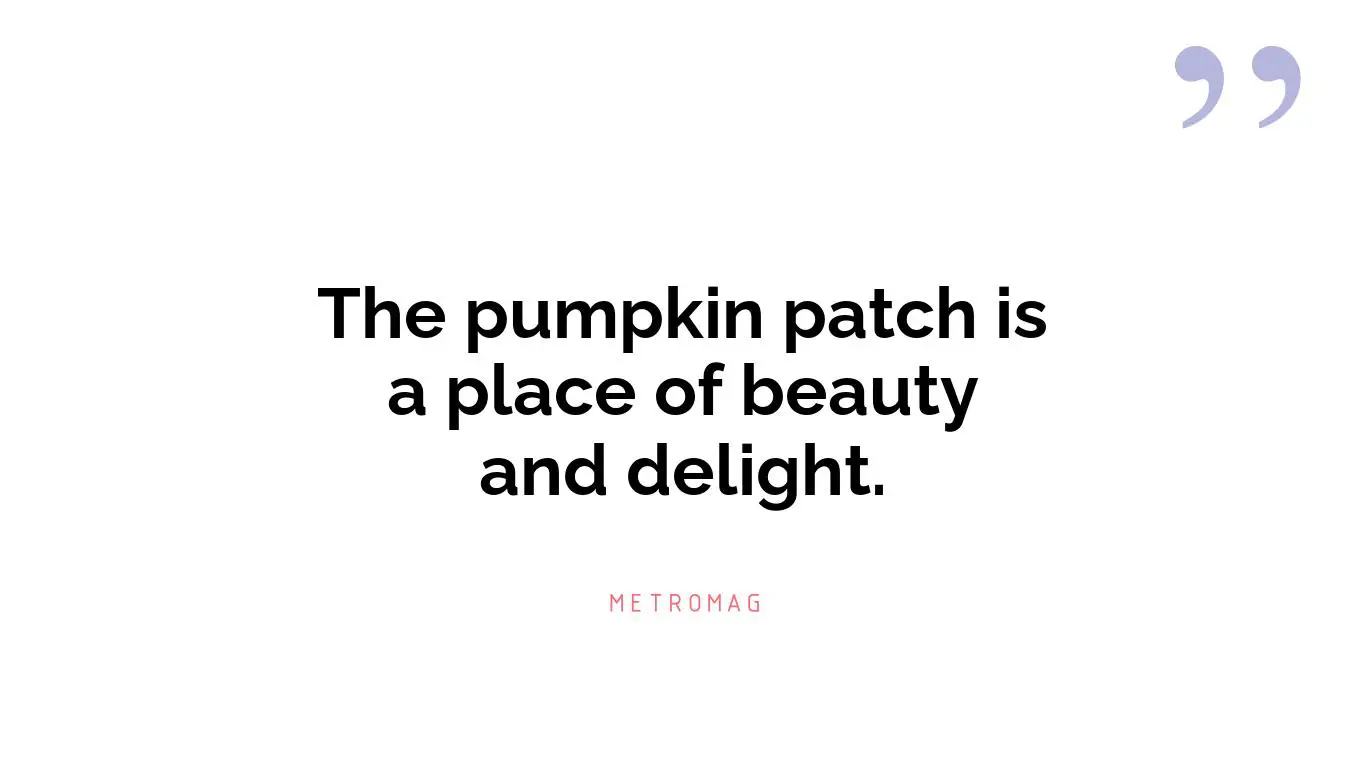 The pumpkin patch is a place of beauty and delight.