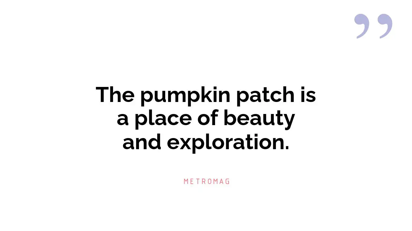 The pumpkin patch is a place of beauty and exploration.