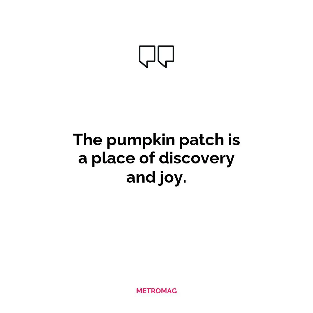 The pumpkin patch is a place of discovery and joy.