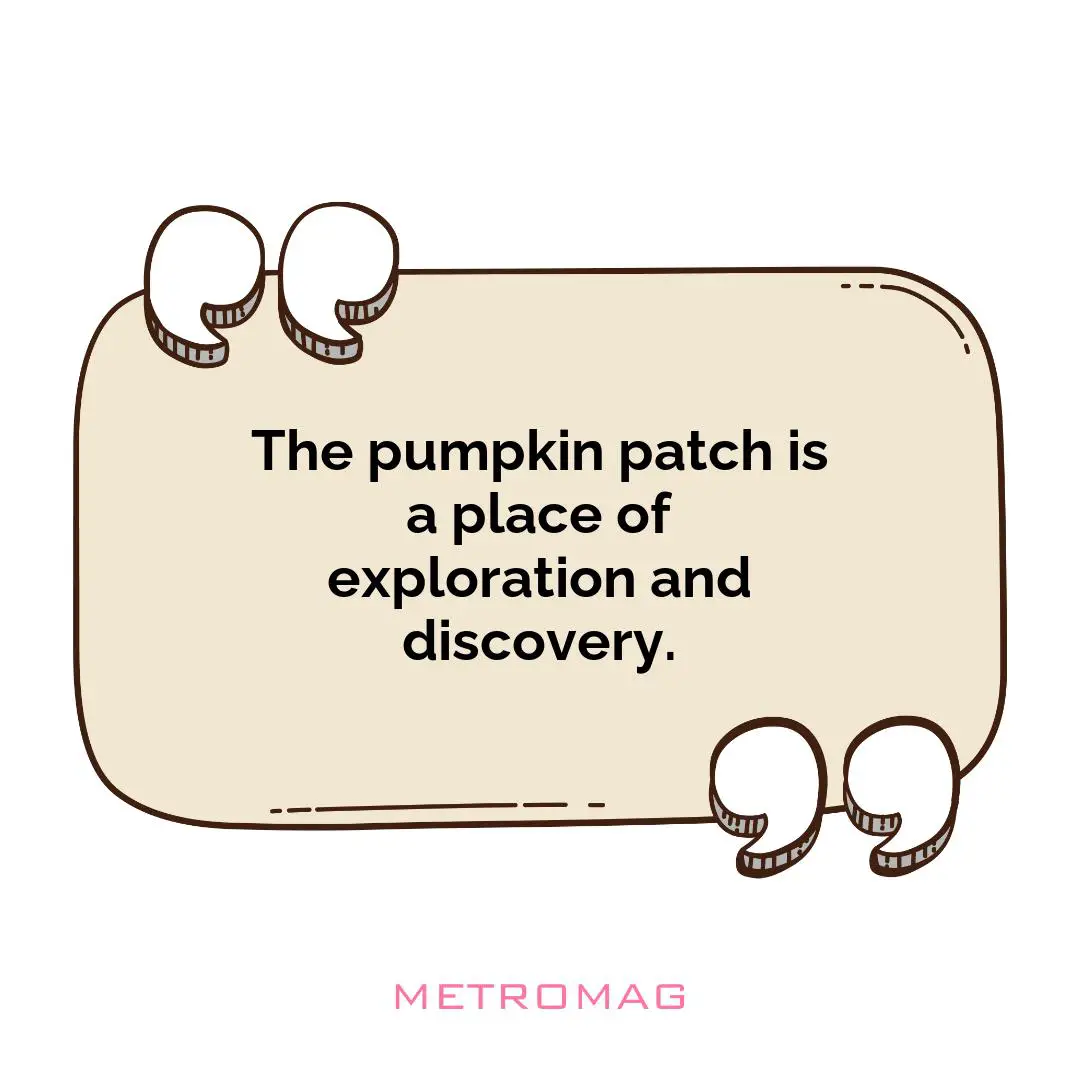 The pumpkin patch is a place of exploration and discovery.