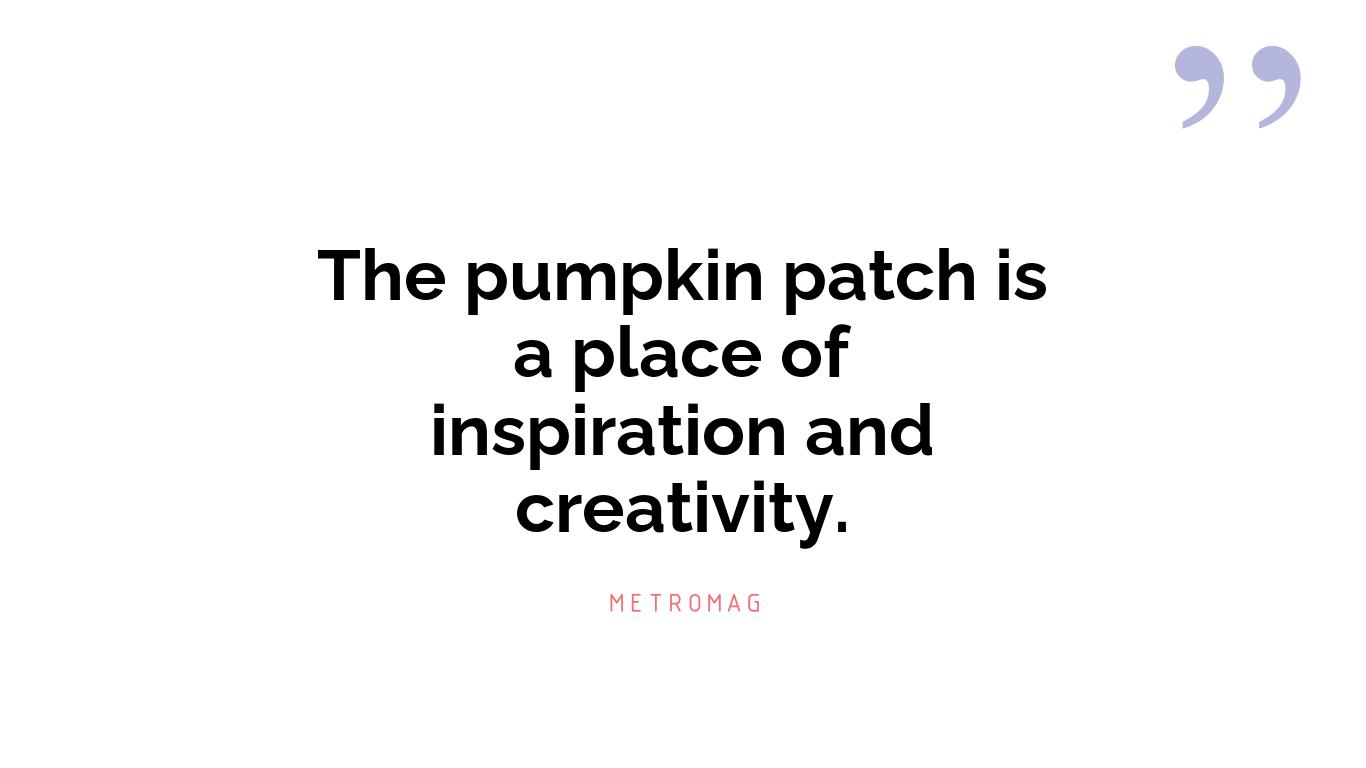 The pumpkin patch is a place of inspiration and creativity.
