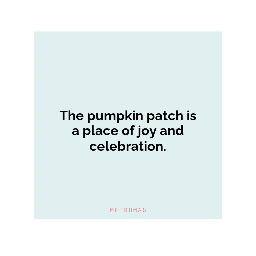 The pumpkin patch is a place of joy and celebration.